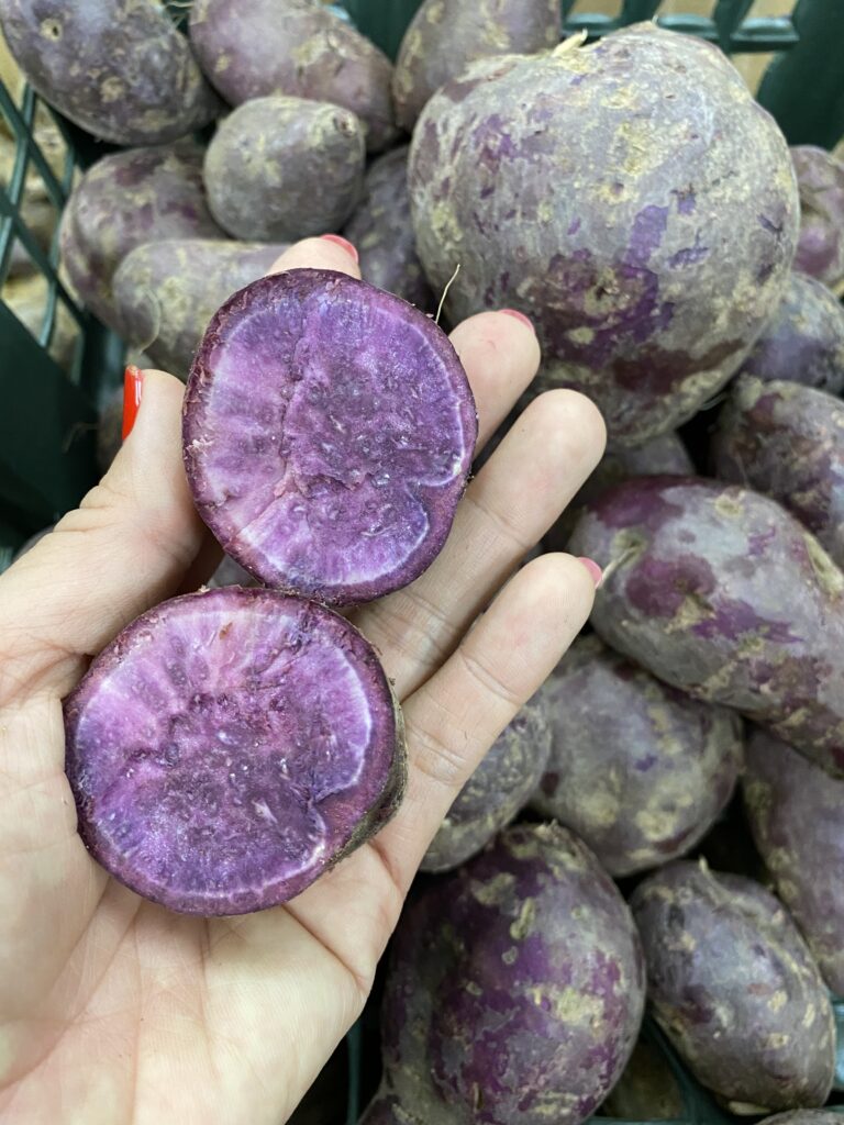 purple potatoes in hand